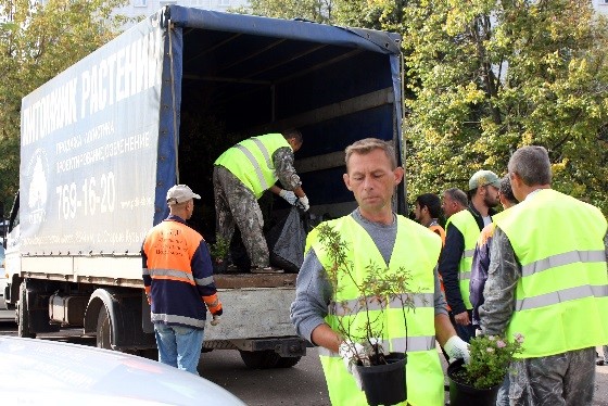 Подготовка Подготовка