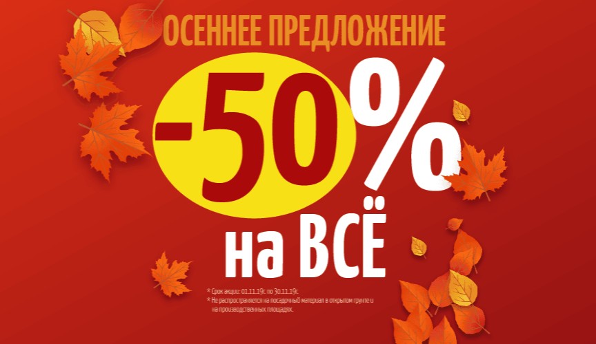 Скидка 50% промо