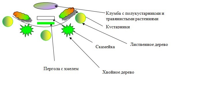 Схема фитозоны.