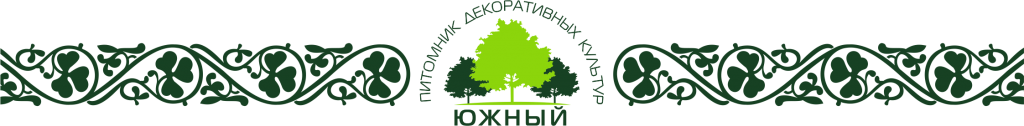 Шапка.png Шапка.png