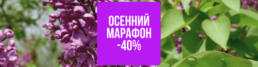 Скидка 40% на Лиственные кустарники в Южном