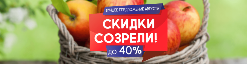 Скидки до 40% на саженцы в Августе 2018 садовый центр Южный