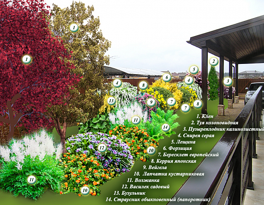 Елена Буренина – проект «Разноцветный уютный мир» – садовый центр «Южный» Схема посадки лиственных