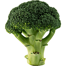 Семена Капуста брокколи