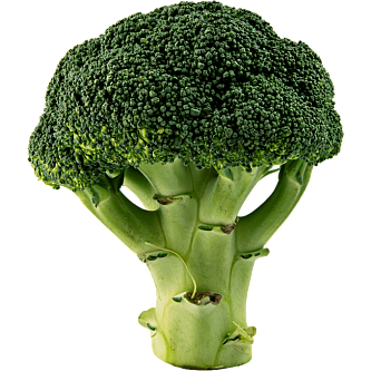 Семена Капуста брокколи