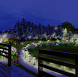 Елена Буренина – проект «Разноцветный уютный мир» – садовый центр «Южный» Ночное освещение
