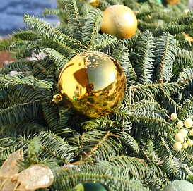 Новогодняя Ель сербская - украшение