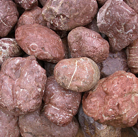 Булыжник Мраморный пион