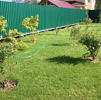 Портфолио: Коттеджный поселок Старые Кузьменки, ДНТ Берег 22 сотки Посадки декоративных растений Южный