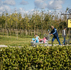 Фотоальбом Праздник Бабье лето 10 сентября 2016 Праздник сентября Бабье лето