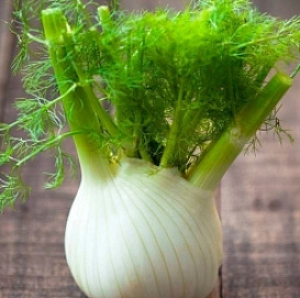 Семена Фенхель