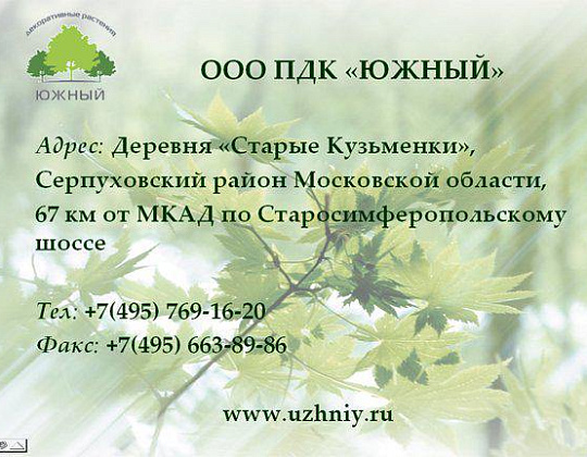 Фотоальбом Коллекция сиреней Коллекция сирени 25