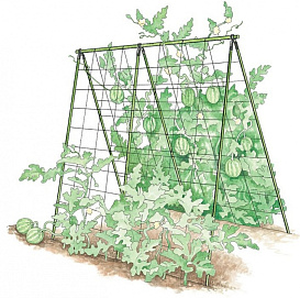 Шпалера для огурцов двухскатная стеклопл (Черняев)