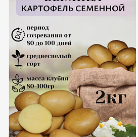 Картофель семенной ВЫМПЕЛ (суперэлита) 2 кг