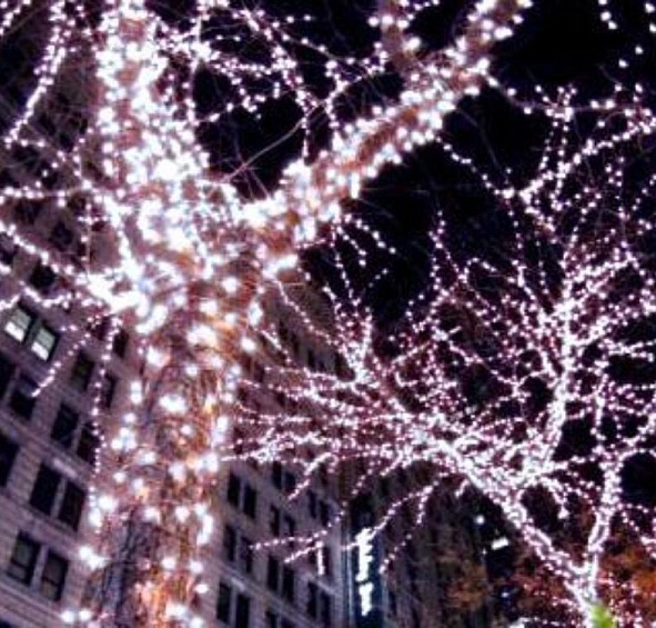 Электрогирлянда КЛИП ЛАЙТ СВЕТОДИНАМИКА  60м. c 600 LED лампами 24V, цвет белый