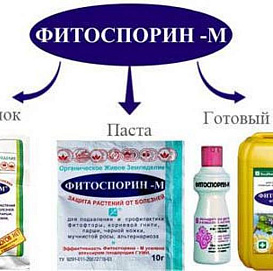 Фунгицид Фитоспорин-М 