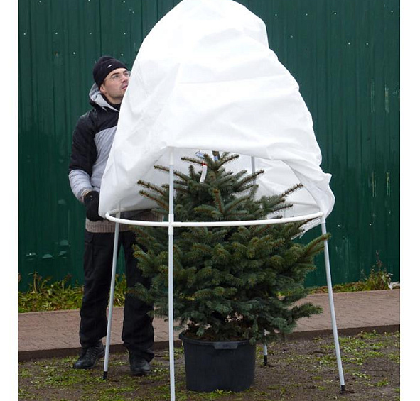 Зимний Сад. Укрытие для роз