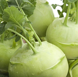 Семена Капуста кольраби