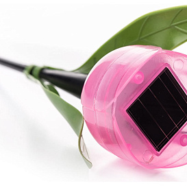 Светильники UNIEL USL-C-451\PT305 PINK TULIP