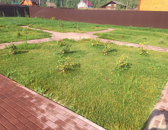 Галерея проектов: КП Сосновка Парк посадки Сад на вырост