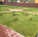 Галерея проектов: КП Сосновка Парк посадки Сад на вырост