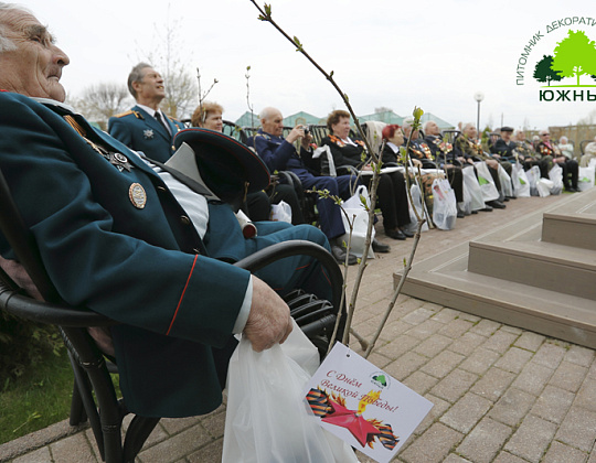 Фотоальбом Сирень ПОБЕДЫ 2015 Сирень ПОБЕДЫ 2015