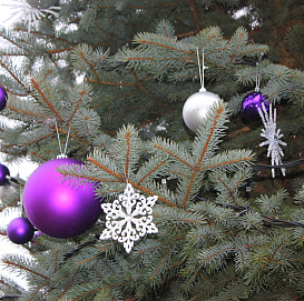 Новогодняя Ель колючая Хупси - украшение