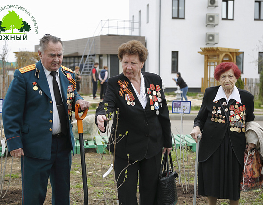 Фотоальбом Сирень ПОБЕДЫ 2015 Сирень ПОБЕДЫ 2015