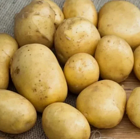 Картофель семенной ЖУКОВСКИЙ (суперэлита) 