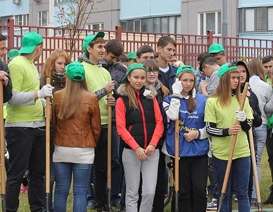 Фотоальбом Наш лес. Посади дерево 2015 5
