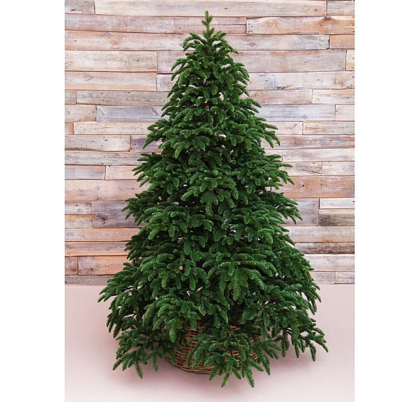 Искусственная ель НОРМАНДИЯ темно-зеленая, (литая хвоя 100% РЕ), 1,55 м, Triumph Tree