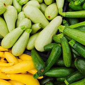 Семена Кабачок Дракоша Русский вкус 2г Гавриш