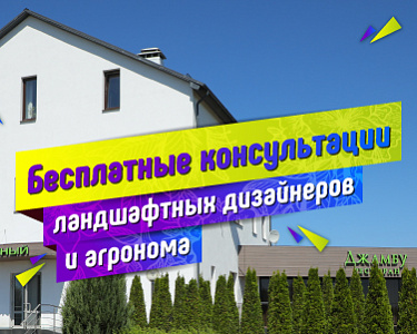 Летний Сад Интернет Магазин Саженцы Армавир Летний Сад Интернет Магазин Саженцы Армавир
