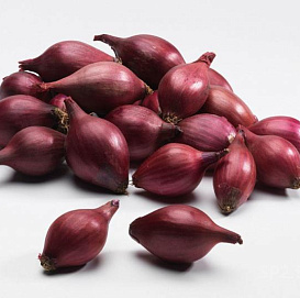Лук-севок РЕД БАРОН красный 