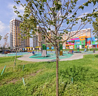 Благоустройство дворов в г. Люберцы – Южный Благоустройство и озеленения в г.Люберцы