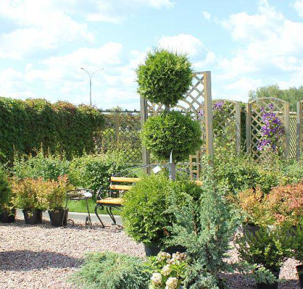 Композиция №3