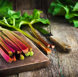 Семена Ревень дачный