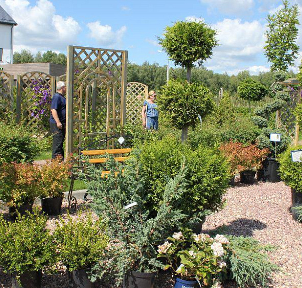 Композиция №3