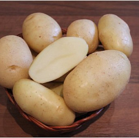 Картофель семенной АРМАДА (суперэлита) 