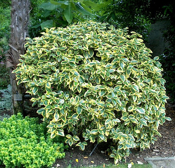 Лох Эббинге