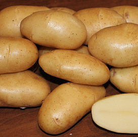 Картофель семенной ФРИТЕЛЛА (суперэлита) 