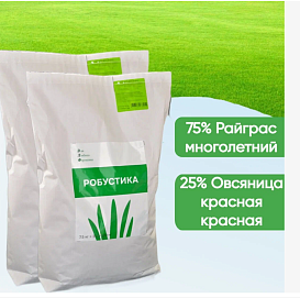 Газон ДФЛ-РОБУСТИКА 7,5кг Зеленый ковер