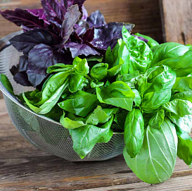 Семена Базилик Фиолетовый Овощной