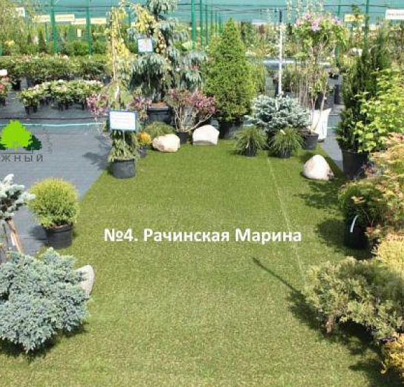 Ландшафтная композиция №4. Рачинская Марина