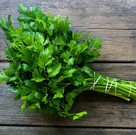 Семена Петрушка ИТАЛЬЯНСКИЙ ГИГАНТ 2 гр