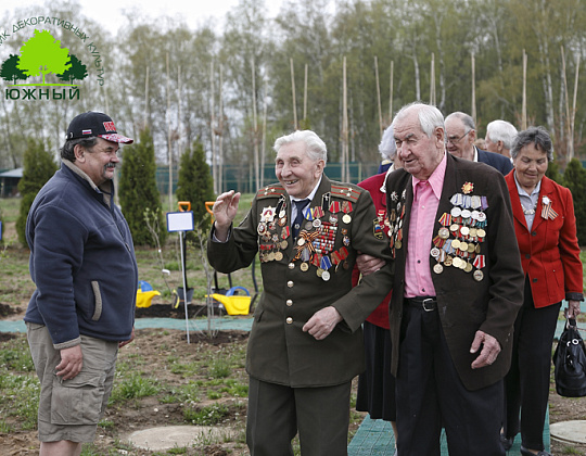 Фотоальбом Сирень ПОБЕДЫ 2015 Сирень ПОБЕДЫ 2015