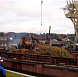 Фотоальбом Посадка крупномеров на берегу Клязьминского водохранилища с баржи. Ива желтокорая. Фотография 6