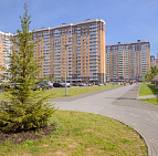 Благоустройство дворов в г. Люберцы – Южный Благоустройство и озеленения в г.Люберцы