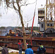 Фотоальбом Посадка крупномеров на берегу Клязьминского водохранилища с баржи. Ива желтокорая. Фотография 18