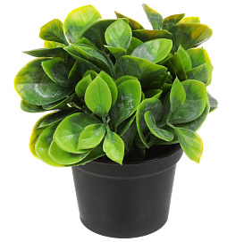 Цветок искусственный СУККУЛЕНТ в кашпо 18*5см 6-10382